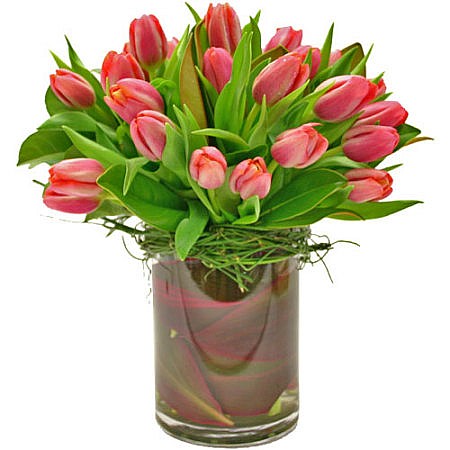 Tulips in a vase