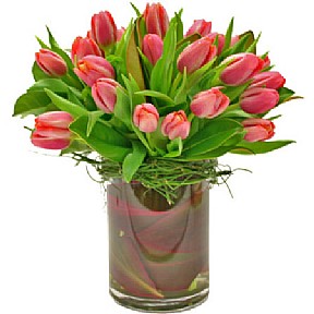 Tulips in a vase