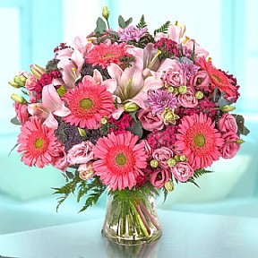 Pink Blossom  Pink Blossom