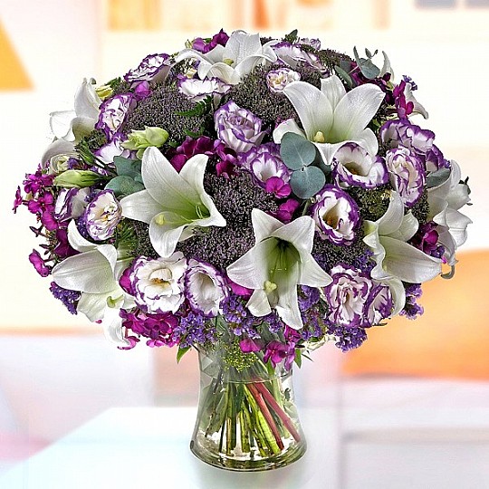 Lily & purple