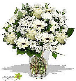 White Elegance