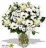 White Elegance