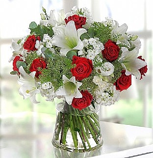 LIBI Lily & Rose 