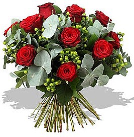 Rose Elegance 