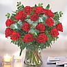 Rose Elegance