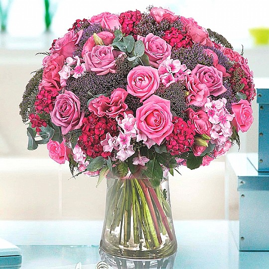 pink lady