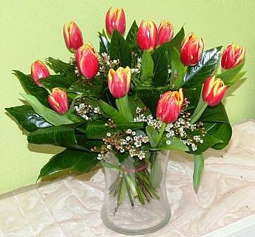 Tulips