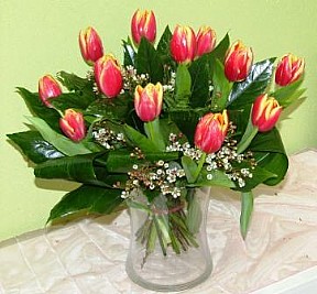Tulips