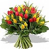 Big Tulips