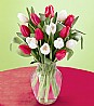 Big Tulips