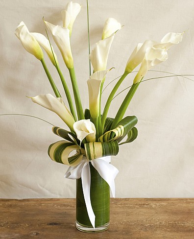 white calla lilies