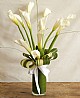 white gladiolus 
