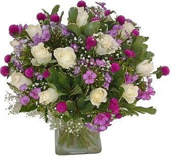 white roses 