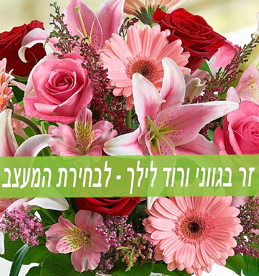 Florist Choice - pink flowers