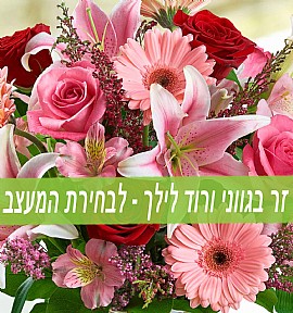 Florist Choice - pink flowers