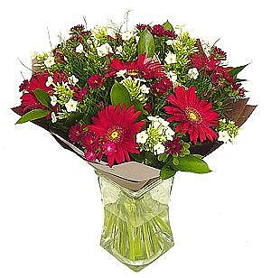 Blossom in red