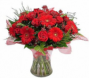 Mars