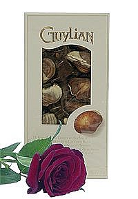 Big Belgian chocolat-Guylian