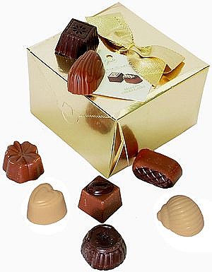 Guylian 100g