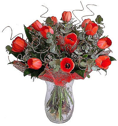 Tulips