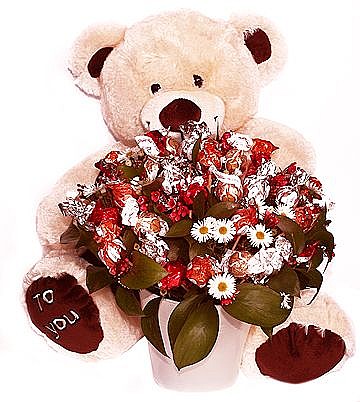 Teddi-Bear