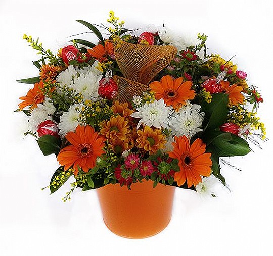 Orange