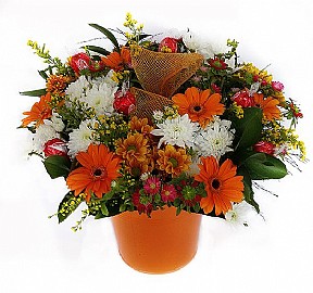 Orange