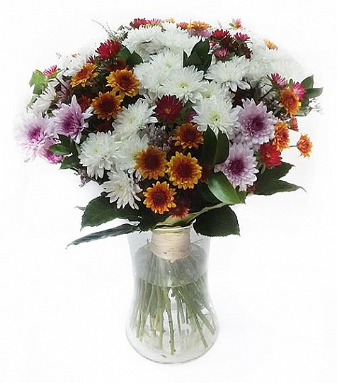 Sole Chrysanthemums