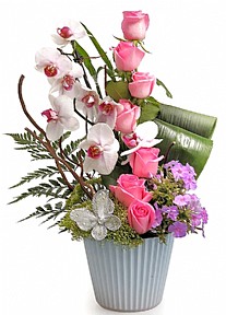 orchid arrangement