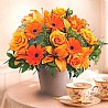 Orange Feast