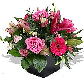 pink love