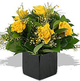 Yellow roses