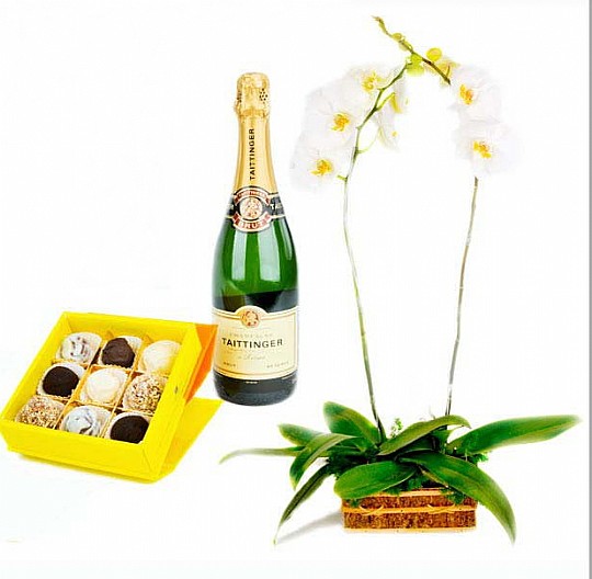 Sumptuous Treat