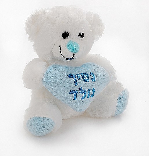  Teddy bear baby boy