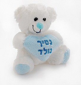  Teddy bear baby boy