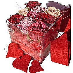 La Rose 