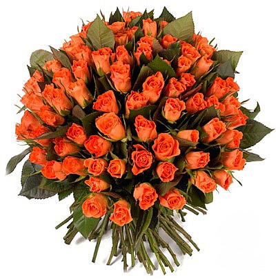 Exclusive Orange Roses