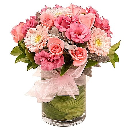 Delight flowers